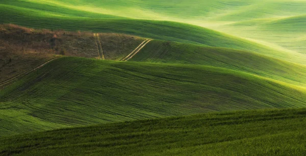 Jarní Pole Malebné Kopcovité Oblasti Zemědělský Pozemek Jaře — Stock fotografie