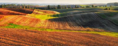 tepelik alan. Bahar alanının pitoresk tepeler