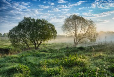 bahar sabahı. Şafak pitoresk bir Nehri yakınında
