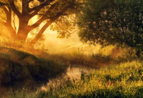 Matin Printemps Aube Près Une Rivière Pittoresque — Photo