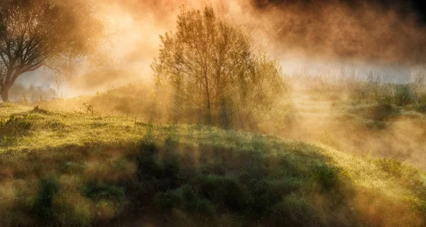 Matin Printemps Aube Près Une Rivière Pittoresque — Photo