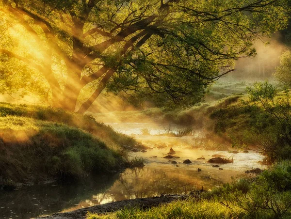 Весеннее Утро Живописный Туманный Рассвет Реки Солнечные Лучи — стоковое фото