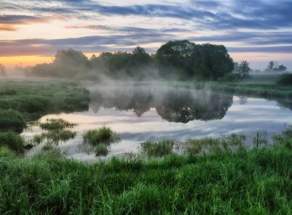 春天的早晨 一个风景如画的雾黎明的河流 太阳射线 — 图库照片