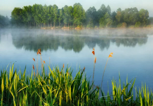 Frühlingsmorgen Eine Malerische Neblige Morgendämmerung Fluss Sonnenstrahlen — Stockfoto