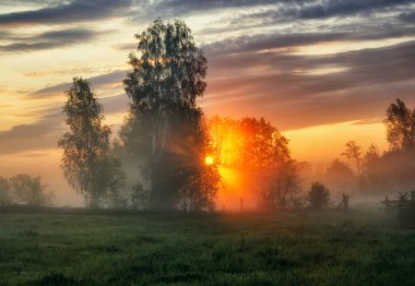 bahar sabahı. puslu bir şafak pitoresk bir çayırda. Güneş ışınları