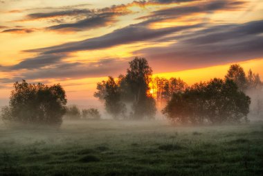 bahar sabahı. puslu bir şafak pitoresk bir çayırda. Güneş ışınları