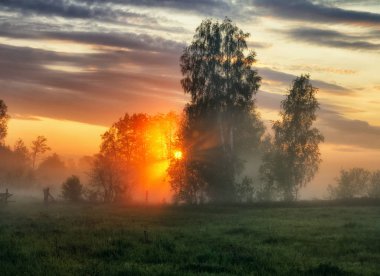 bahar sabahı. puslu bir şafak pitoresk bir çayırda. Güneş ışınları