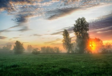 bahar sabahı. puslu bir şafak pitoresk bir çayırda. Güneş ışınları