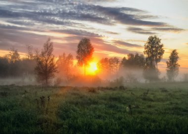 bahar sabahı. puslu bir şafak pitoresk bir çayırda. Güneş ışınları
