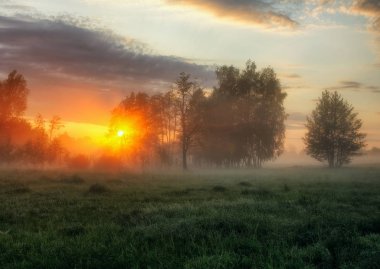 bahar sabahı. puslu bir şafak pitoresk bir çayırda. Güneş ışınları
