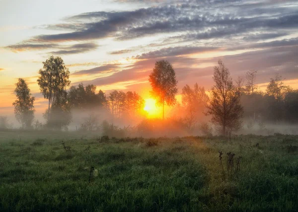 Bahar Sabahı Puslu Bir Şafak Pitoresk Bir Çayırda Güneş Işınları — Stok fotoğraf