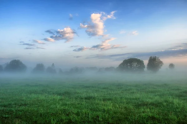 Mattina Primavera Alba Nebbiosa Prato Pittoresco Raggi Solari — Foto Stock