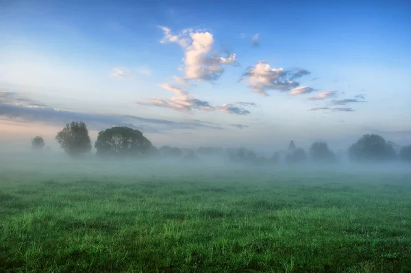 Lentemorgen Een Mistige Dageraad Een Pittoreske Weide Zonnestralen — Stockfoto