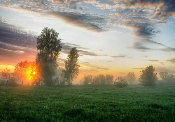 Frühlingsmorgen Eine Neblige Morgendämmerung Auf Einer Malerischen Wiese Sonnenstrahlen — Stockfoto