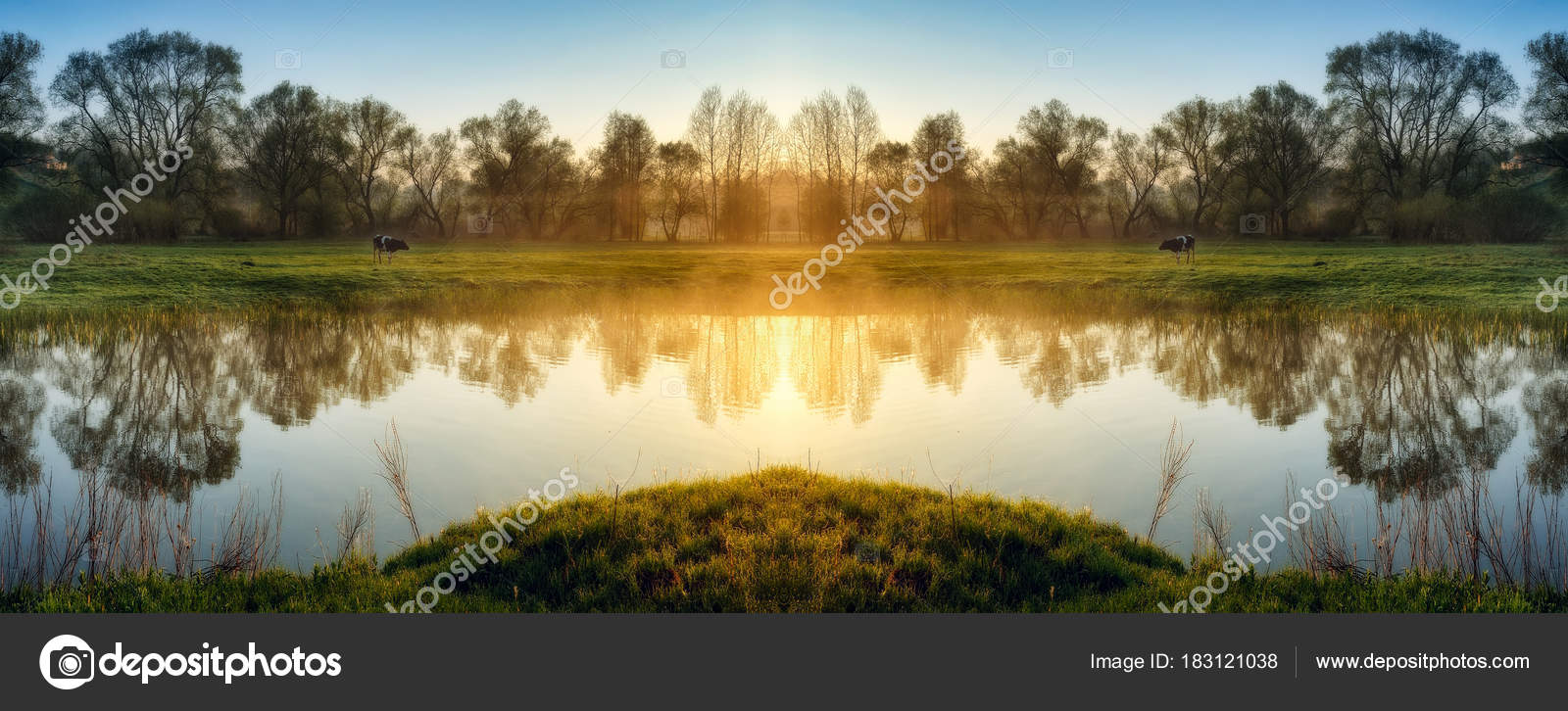 Ni Ni images pictures Ni Ni
