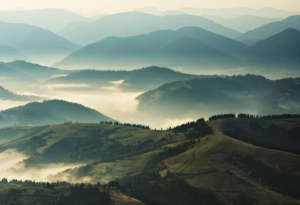 Sagome Montagne Mattina Autunno Sulle Montagne Dei Carpazi Alba Nebbiosa — Foto Stock