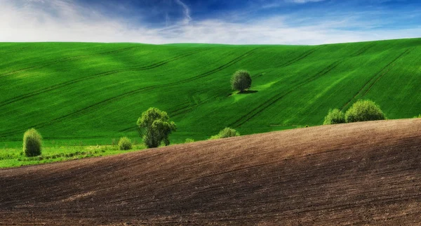 Zielone Pola Malownicze Wzgórza Piękna Wiosna Pole — Zdjęcie stockowe