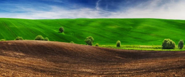 Hilly Field Picturesque Hills Spring Field — Stock Photo, Image