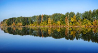 yansıma. nehir ağaçlarda pitoresk yansımasıdır. sessiz bir sabah