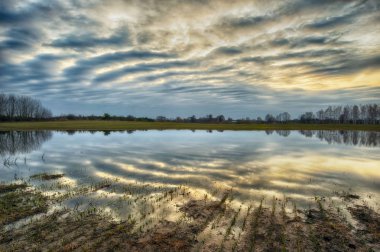 yansıma. nehir ağaçlarda pitoresk yansımasıdır. sessiz bir sabah