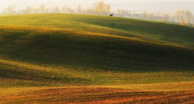 Tepelik alan. Sonbahar şafak alanında. Pitoresk bir alanda sakin sabah