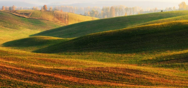 Hügelland Herbstdämmerung Auf Dem Feld Ruhiger Morgen Einem Malerischen Feld — Stockfoto