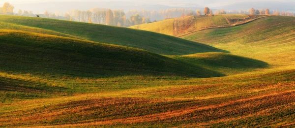 Campo Collinare Alba Autunnale Nel Campo Mattinata Tranquilla Campo Pittoresco — Foto Stock