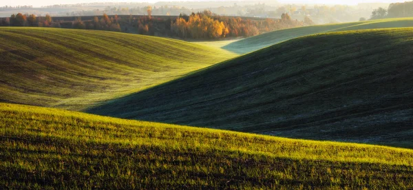 Hügelland Herbstdämmerung Auf Dem Feld Ruhiger Morgen Einem Malerischen Feld — Stockfoto