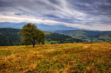 sonbahar sabahı. Karpat Dağları sonbaharda pitoresk bir gökyüzü