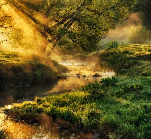 Frühlingsmorgen Morgengrauen Der Nähe Eines Malerischen Flusses — Stockfoto