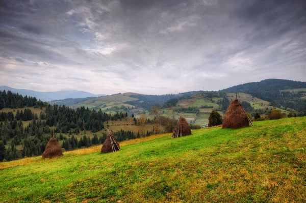 Podzimní Ráno Malebné Obloha Podzim Karpaty — Stock fotografie
