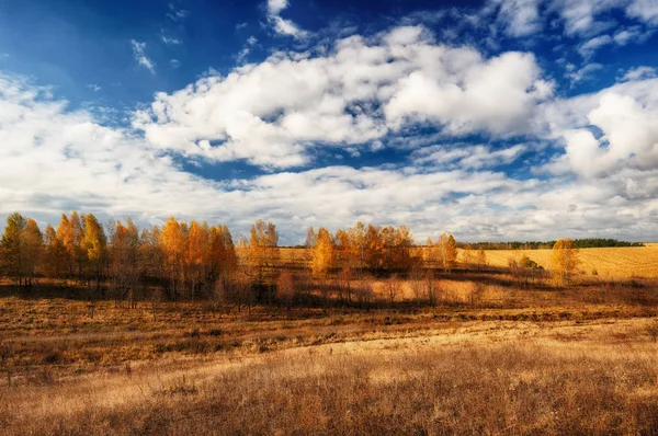 Autumn Field Picturesque Sky Hilly Field — Stock Photo, Image