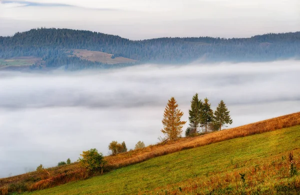 Jesienny Poranek Malownicze Świt Karpatach — Zdjęcie stockowe