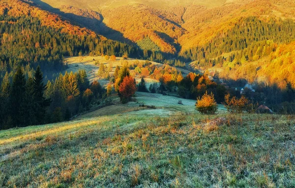 Осеннее Утро Живописный Рассвет Карпатах — стоковое фото