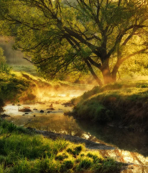 Matin Printemps Aube Près Une Rivière Pittoresque — Photo