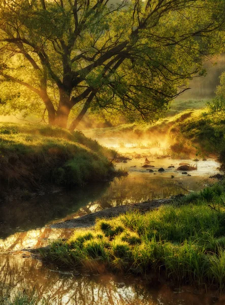 Frühlingsmorgen Morgengrauen Der Nähe Eines Malerischen Flusses — Stockfoto