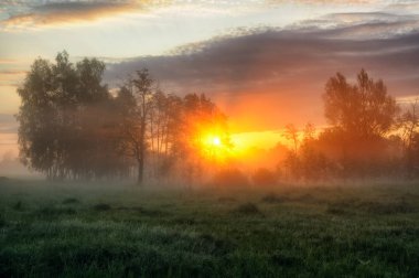 bahar sabahı. puslu bir şafak pitoresk bir çayırda. Güneş ışınları