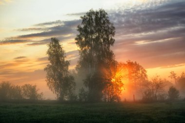 bahar sabahı. puslu bir şafak pitoresk bir çayırda. Güneş ışınları