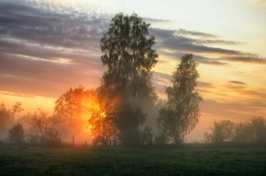 bahar sabahı. puslu bir şafak pitoresk bir çayırda. Güneş ışınları