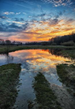 bahar sabahı. puslu bir şafak pitoresk bir çayırda. Güneş ışınları