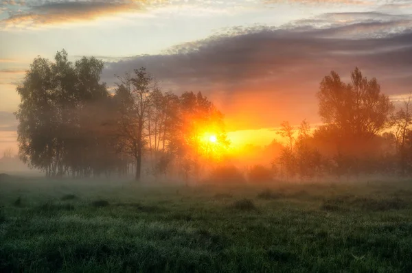 bahar sabahı. puslu bir şafak pitoresk bir çayırda. Güneş ışınları
