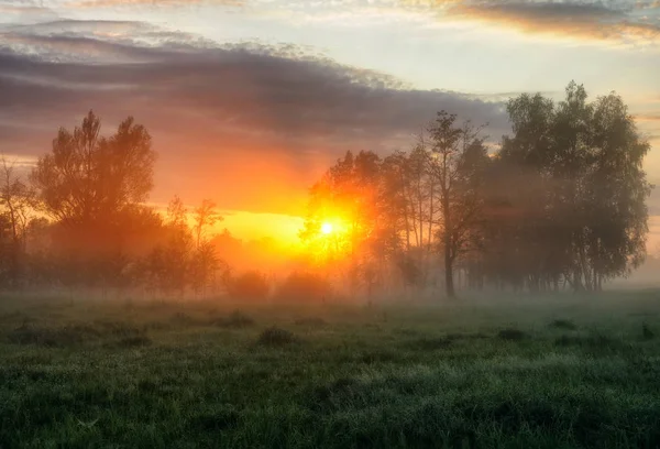 Frühlingsmorgen Eine Neblige Morgendämmerung Auf Einer Malerischen Wiese Sonnenstrahlen — Stockfoto