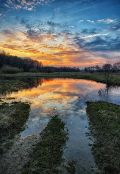 bahar sabahı. puslu bir şafak pitoresk bir çayırda. Güneş ışınları