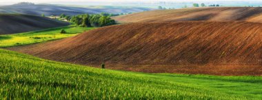 Bahar alan. pitoresk tepelik alan. Bahar tarım alanı
