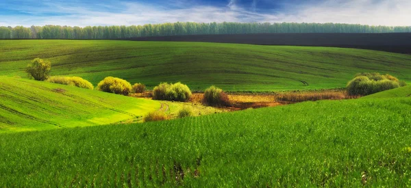 Spring Field Picturesque Hilly Field Agricultural Field Spring — Stock Photo, Image