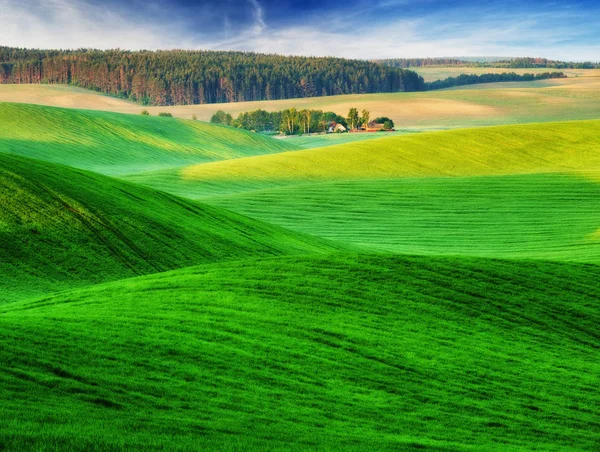 Spring Field Picturesque Hilly Field Agricultural Field Spring — Stock Photo, Image