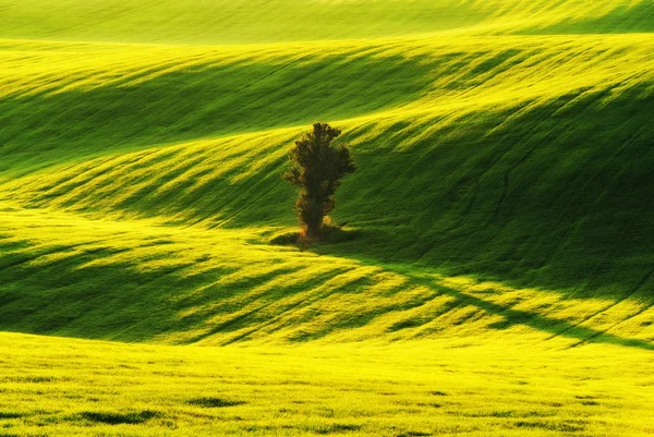 Campo Primavera Pintoresco Campo Montañoso Campo Agrícola Primavera —  Fotos de Stock