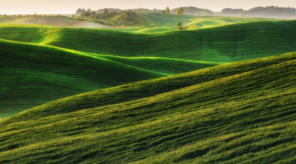 春天的田野 风景如画的丘陵领域 春季农业领域 — 图库照片