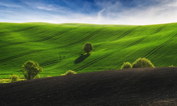 风景如画的丘陵地带 农业领域 — 图库照片