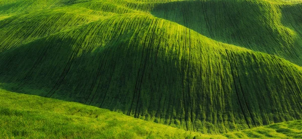 絵に描いたような丘陵地帯農地 — ストック写真